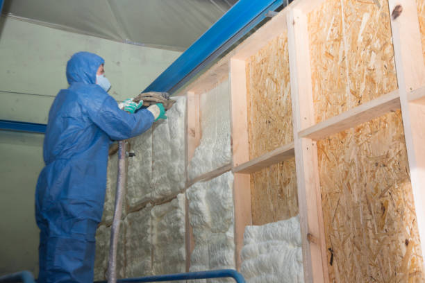Garage Insulation Installation in Roland, IA
